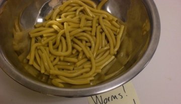 荷兰人爱吃肉虫派