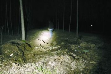 乡村小道半夜发光 专家称可能含放射性物质