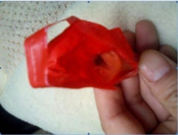 双汇王中王火腿肠吃出异物 厂家长期推诿无人理