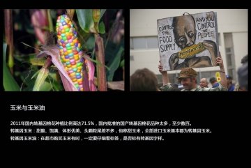 如何辨别转基因食品