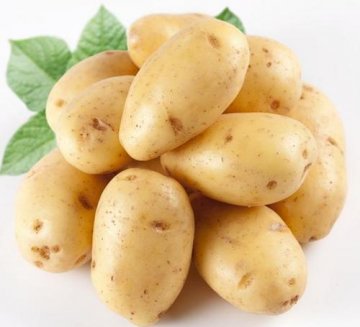 警惕！这10种家常食物可能是“有毒食品”