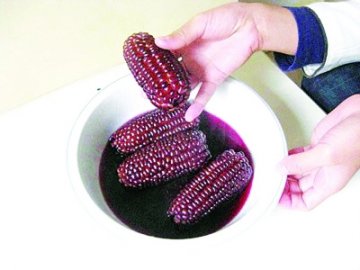 煮玉米熬出一锅“墨汁” 专家：无毒无害可食用