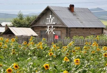 立秋后多发胃肠型感冒 常备藿香正气滴丸