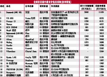 谁是净现值之王