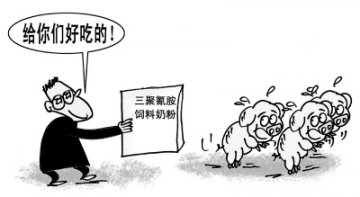 “有毒饲料奶粉”案调查三聚氰胺奶粉现身饲料市场
