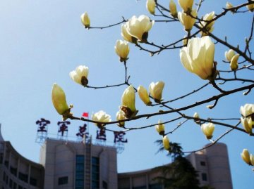 军医讲堂：针灸治疗失眠有神效