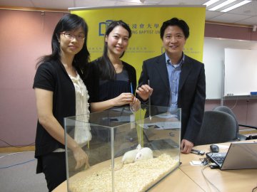 浸会大学攻克干细胞培殖难关