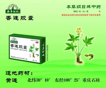 香连胶囊-(国药准字Z10930038)精美广告图欣赏