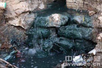 河津阳光华泰排污肆无忌惮 环保局不闻不问