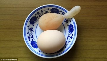 大开眼界：长着尾巴的鸡蛋