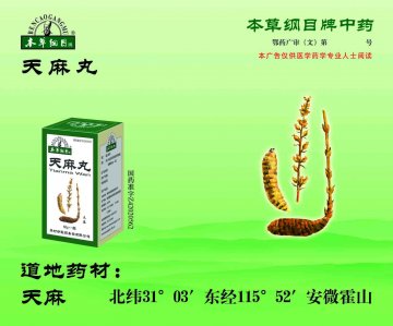 天麻丸-官方高清创意广告(鄂药广审(文)第2013010013号)