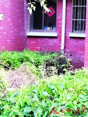 小作坊生产三无洗洁精产品专供酒店宾馆