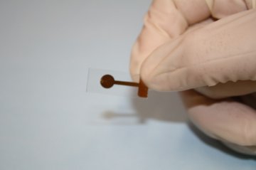 巴西科学家研发便携式生物传感器 可检测农药成分