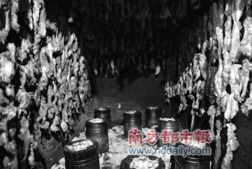 广州一加工点用腐烂猪肉加敌百虫工业用盐制腊肉