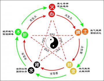 中医大师：经典养生 灵芝补五经