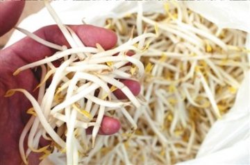 德国确认芽苗菜为疫情“毒源”