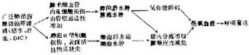 成人呼吸窘迫综合征