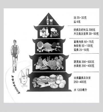 减肥：从“膳食宝塔”开始