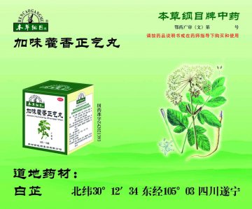 加味藿香正气丸-官方高清创意广告(鄂药广审(文)第2013010023号)