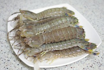 夏天到10种海鲜必吃 牢记吃海鲜5大禁忌