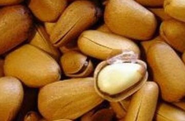 揭最不起眼的6大长寿食物 白菜可止咳抗癌