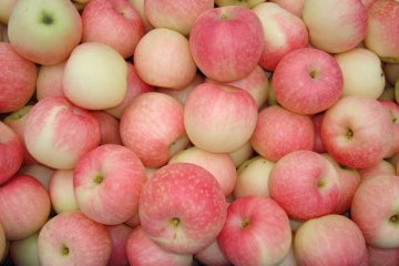 吃6成饱可多活20年？专家公布长寿饮食法则