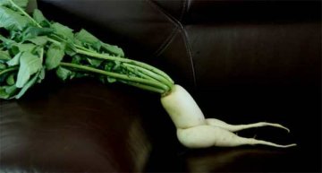 秋季13种超级食物