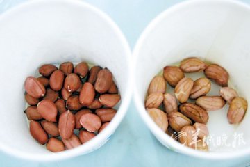 广州市民发现红衣花生褪色 专家称质量值得怀疑