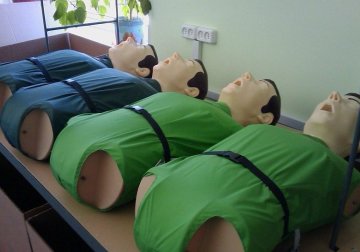 揭秘医用人体模型制作全过程