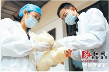长沙县24小时监控动物疫情