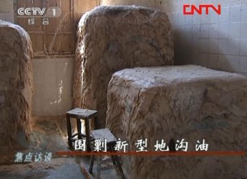 腐败动物内脏炼成新型地沟油
