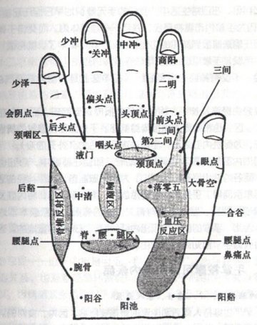 手掌穴位图