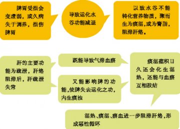 调肝五法远离“瘦胖子”