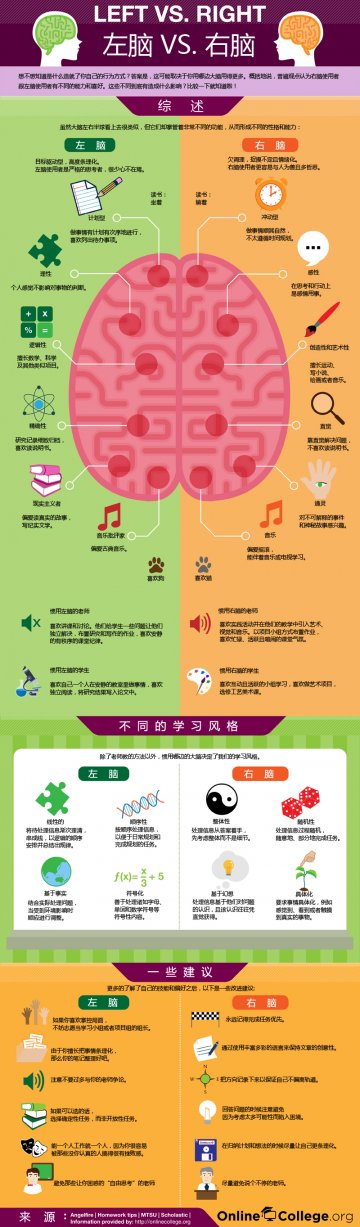 信息图：图解左脑VS右脑