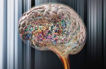 科学家首次发现癫痫和孤独症具有一定关联性