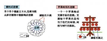 苹果树型连锁运营模式