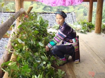 千年瑶浴，养生美容双管齐下