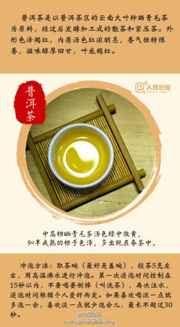 九张图教你喝春茶