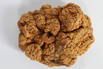 吃胎盘补身体 人的胎盘到底能不能吃？