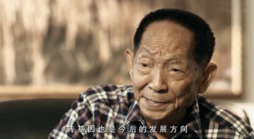 袁隆平称正在研究把玉米基因转到水稻中