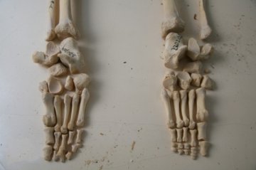 探访阴森“人骨仓库”