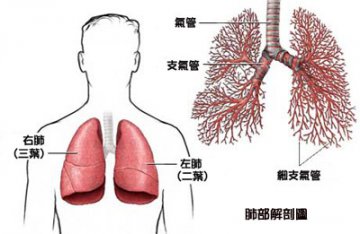 患肺癌的8个致命原因