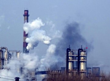 山东东阿东昌焦化厂非法排污 占地400亩以租代征