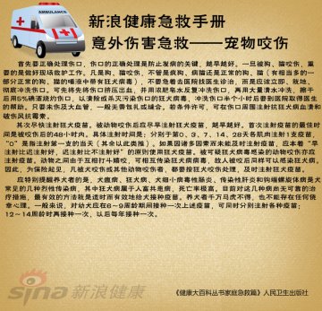 宠物咬伤怎么办