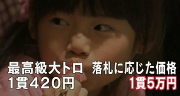 世上最贵金枪鱼受人青睐 盘点金枪鱼十大功效