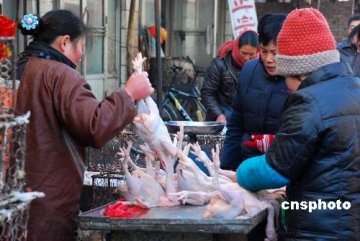 今年全国大中城市活禽市场拟全部关闭防禽流感