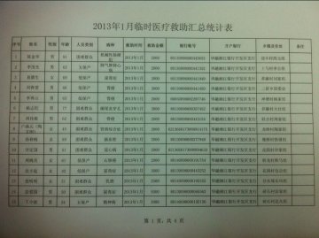 2013年1月临时医疗救助汇总统计表