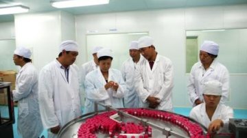 市人大杨丽副主任带队视察昆明市药品生产企业