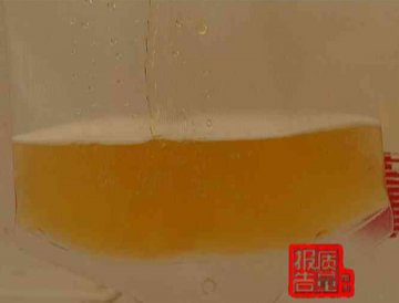 记者体验人血白蛋白生产检测全过程
