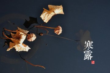 寒露养生六个要诀：重在保暖养阴精